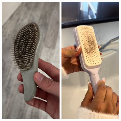 CleanBrush Pro  pettine autopulente